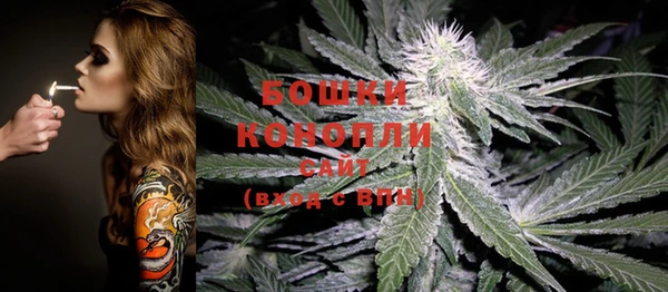 PSILOCYBIN Елабуга