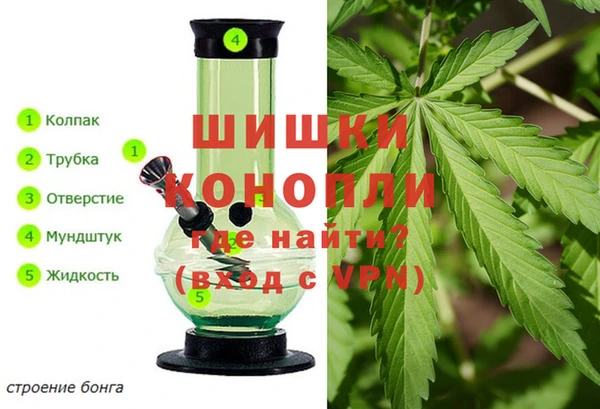 PSILOCYBIN Елабуга