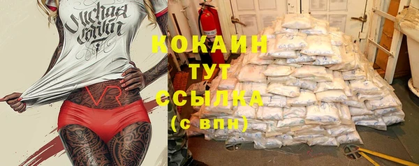 PSILOCYBIN Елабуга