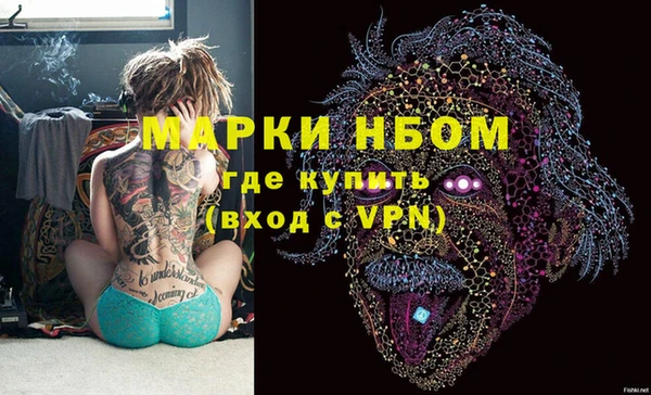 PSILOCYBIN Елабуга