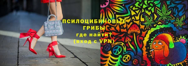 PSILOCYBIN Елабуга