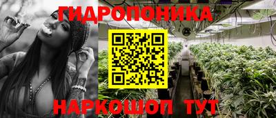 спиды Ливны