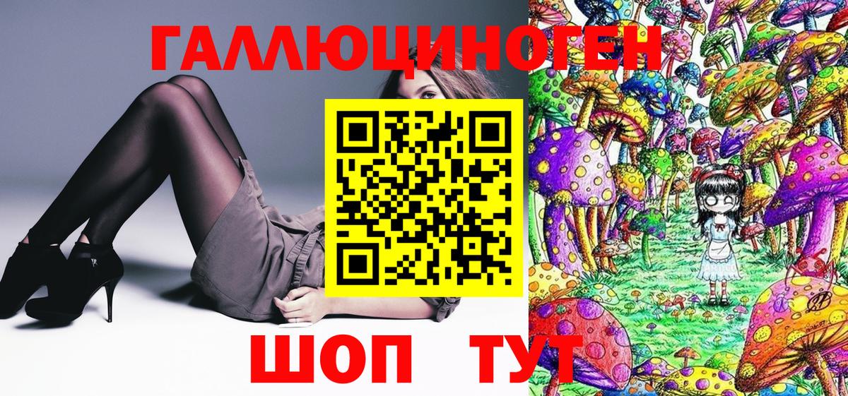 Псилоцибиновые грибы мицелий Ачинск