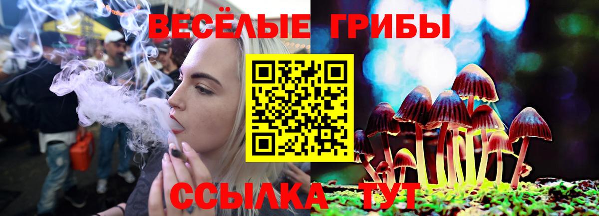 Псилоцибиновые грибы MAGIC MUSHROOMS Ачинск