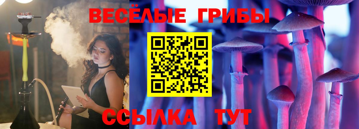Ачинск  Псилоцибиновые грибы MAGIC MUSHROOMS  Вход с VPN 