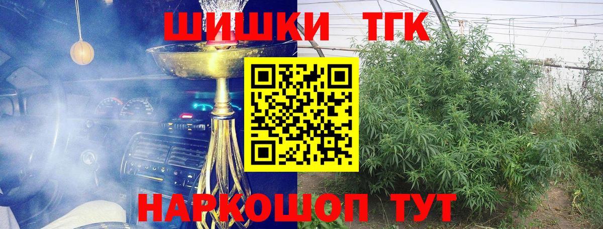 Ачинск  Конопля сатива  Канабис сатива  Вход с VPN 